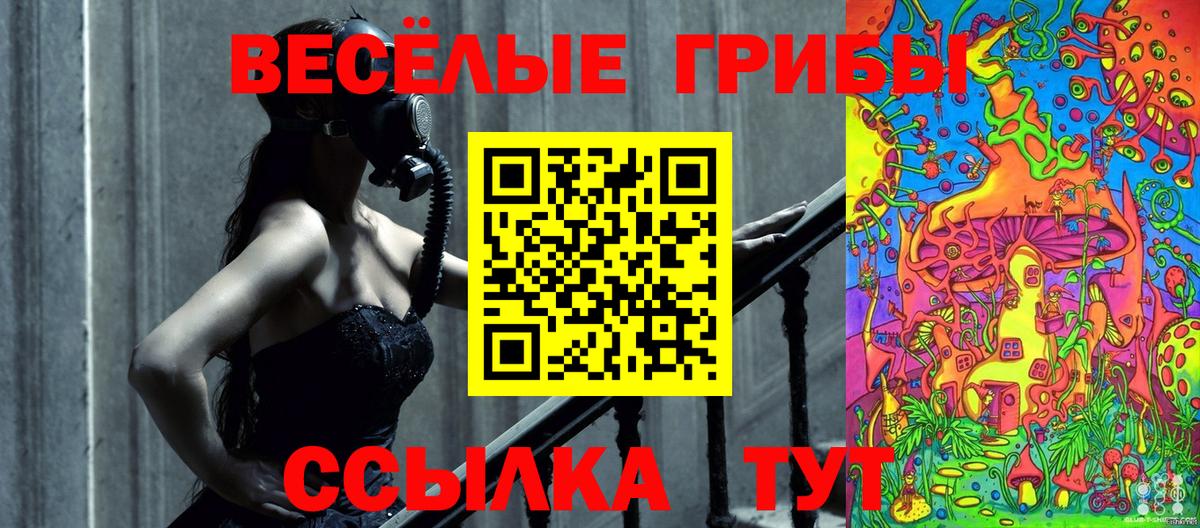 Михайловка  Псилоцибиновые грибы ЛСД  Вход с VPN 