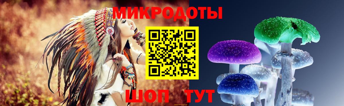 Галлюциногенные грибы мицелий Михайловка